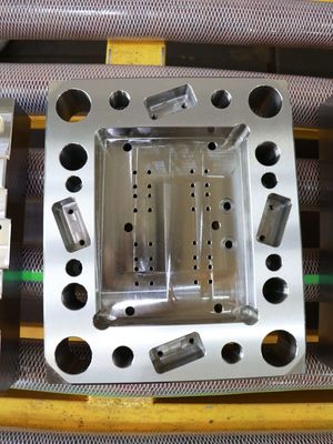 Scatola di legno libera ISO9001 di muffa di ASTM P20 di fumigazione di plastica della base