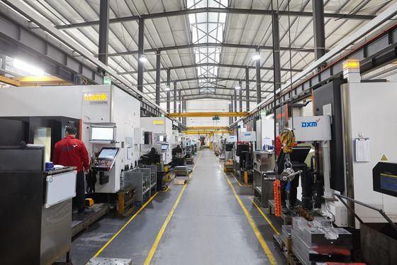 Speciali materiali della muffa di DXM 50c base di appoggio la tolleranza 0-0.1mm di spessore